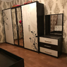 Беллона 6Д шкаф